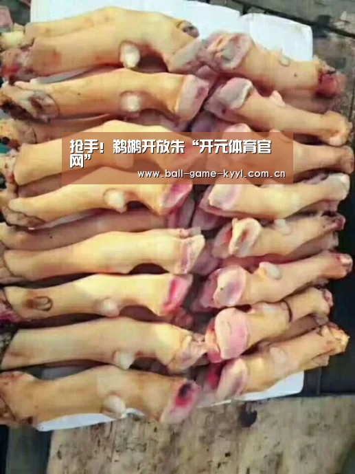 
抢手！鹈鹕开放朱“开元体育官网”